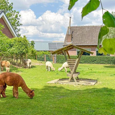Alpacafarm Vorstenbosch Exteriér fotografie