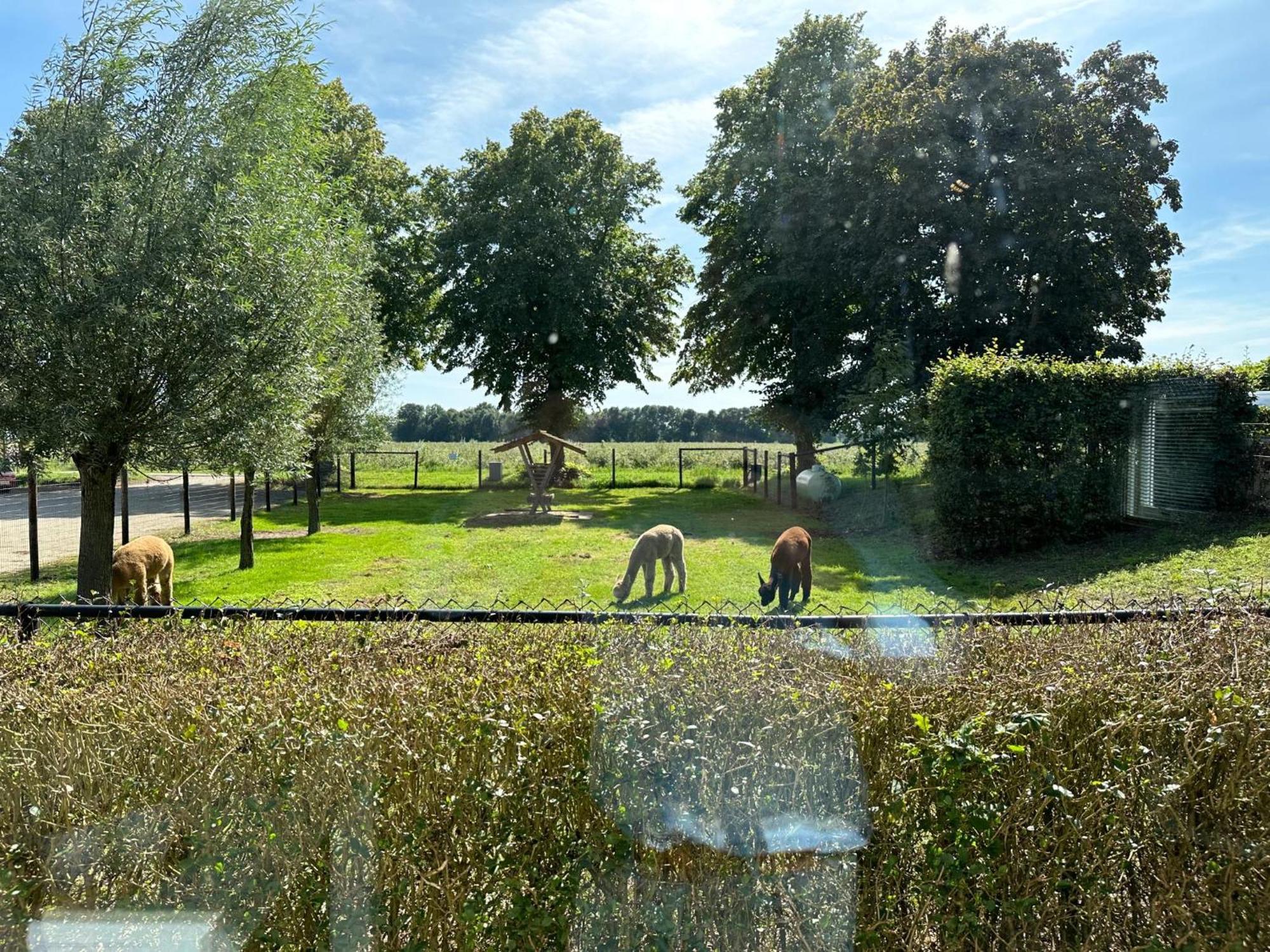 Alpacafarm Vorstenbosch Exteriér fotografie