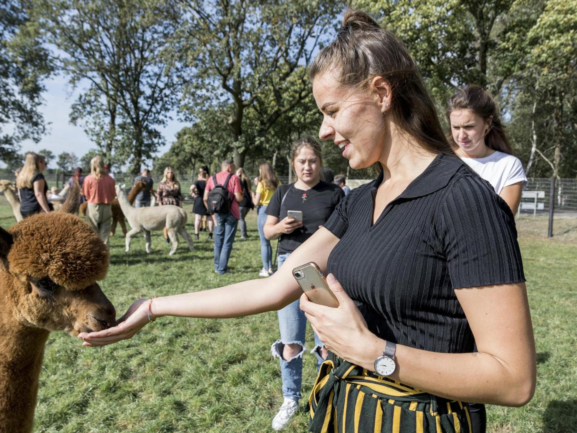 Alpacafarm Vorstenbosch Exteriér fotografie