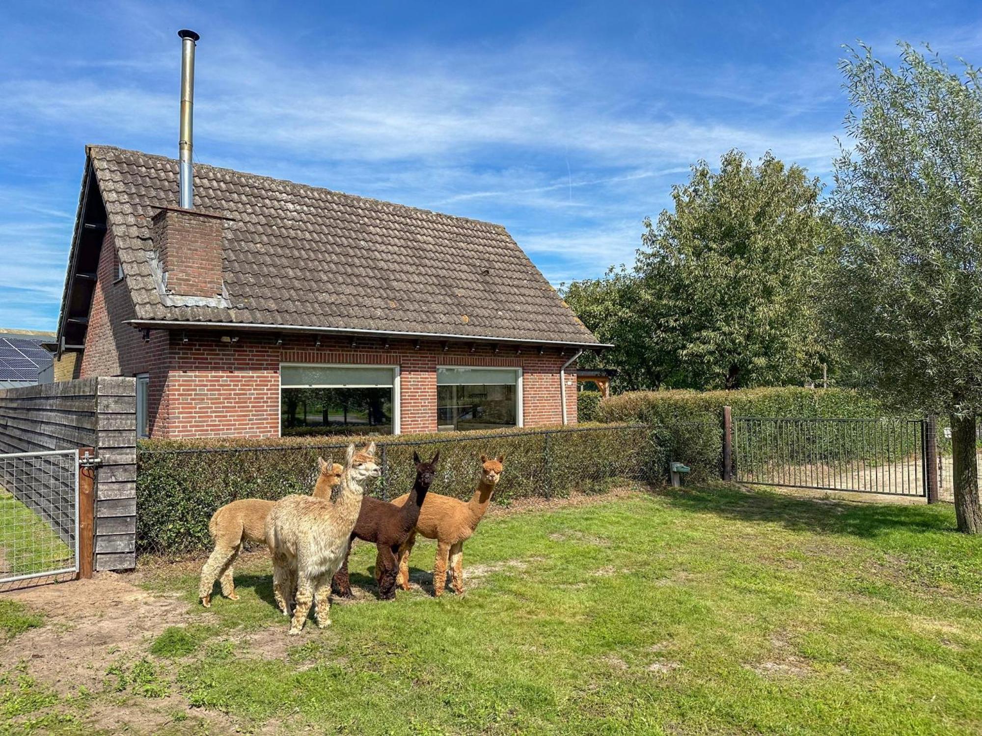 Alpacafarm Vorstenbosch Exteriér fotografie