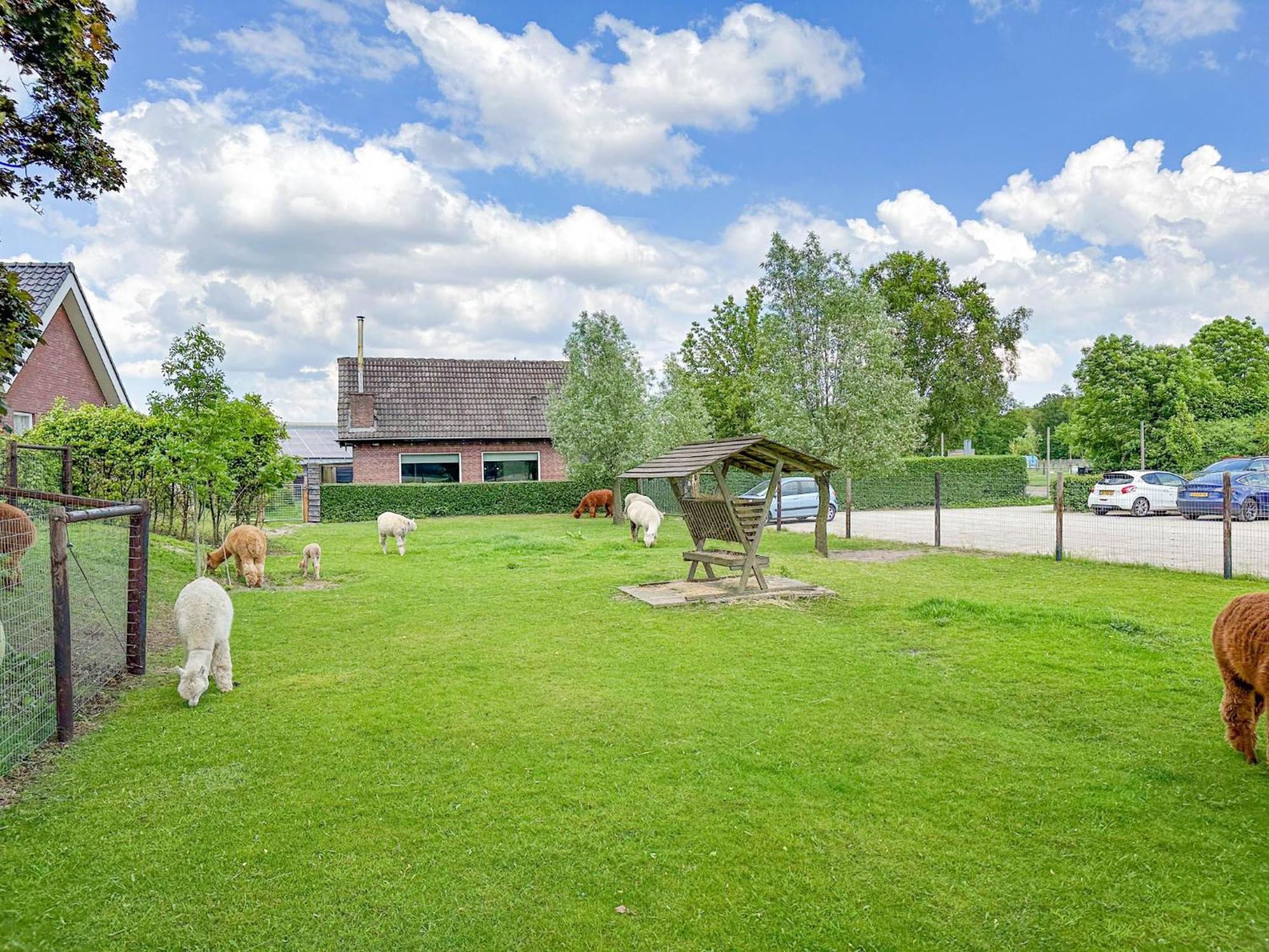 Alpacafarm Vorstenbosch Exteriér fotografie