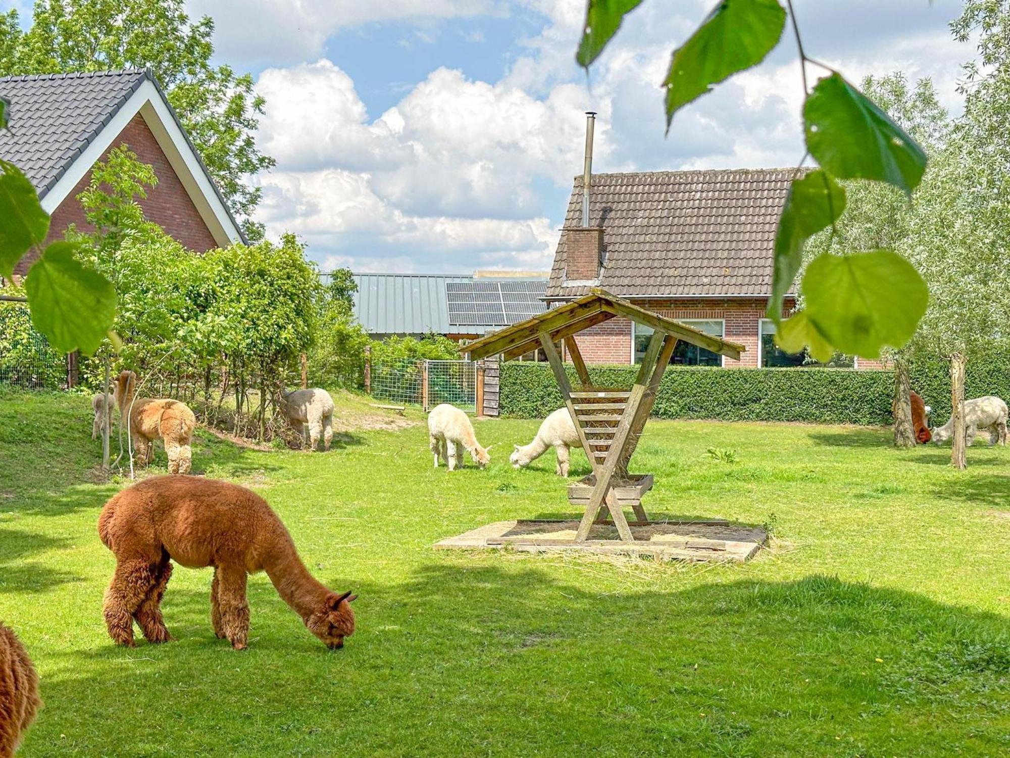 Alpacafarm Vorstenbosch Exteriér fotografie