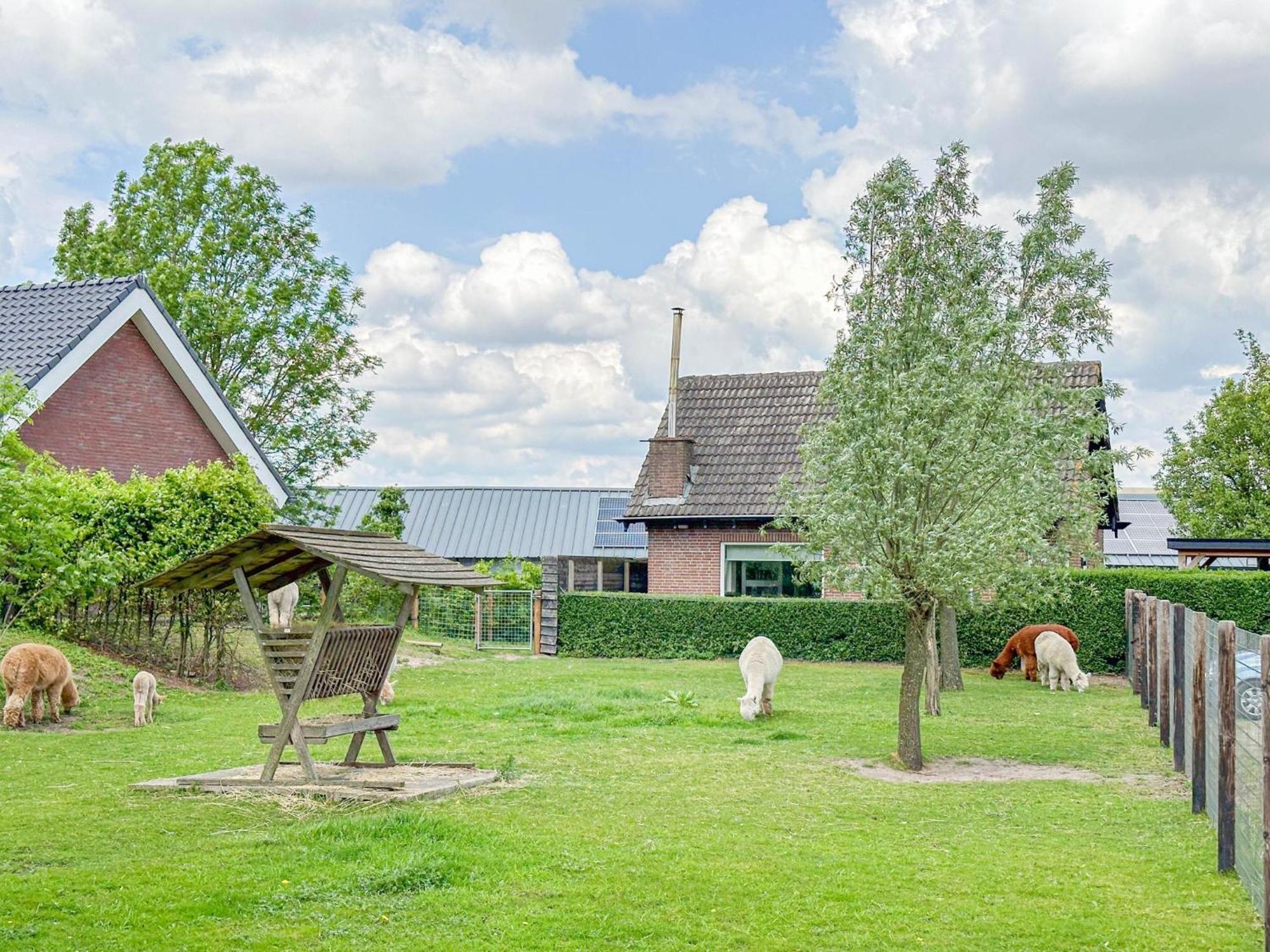 Alpacafarm Vorstenbosch Exteriér fotografie