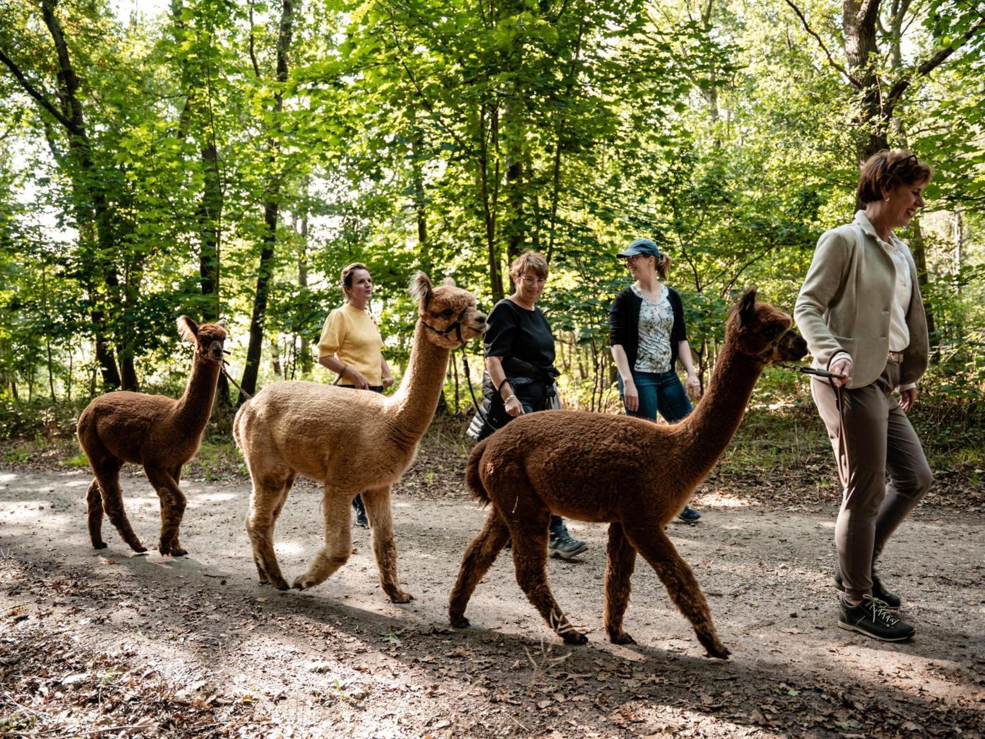 Alpacafarm Vorstenbosch Exteriér fotografie